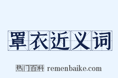 罩衣近义词是什么意思的图片